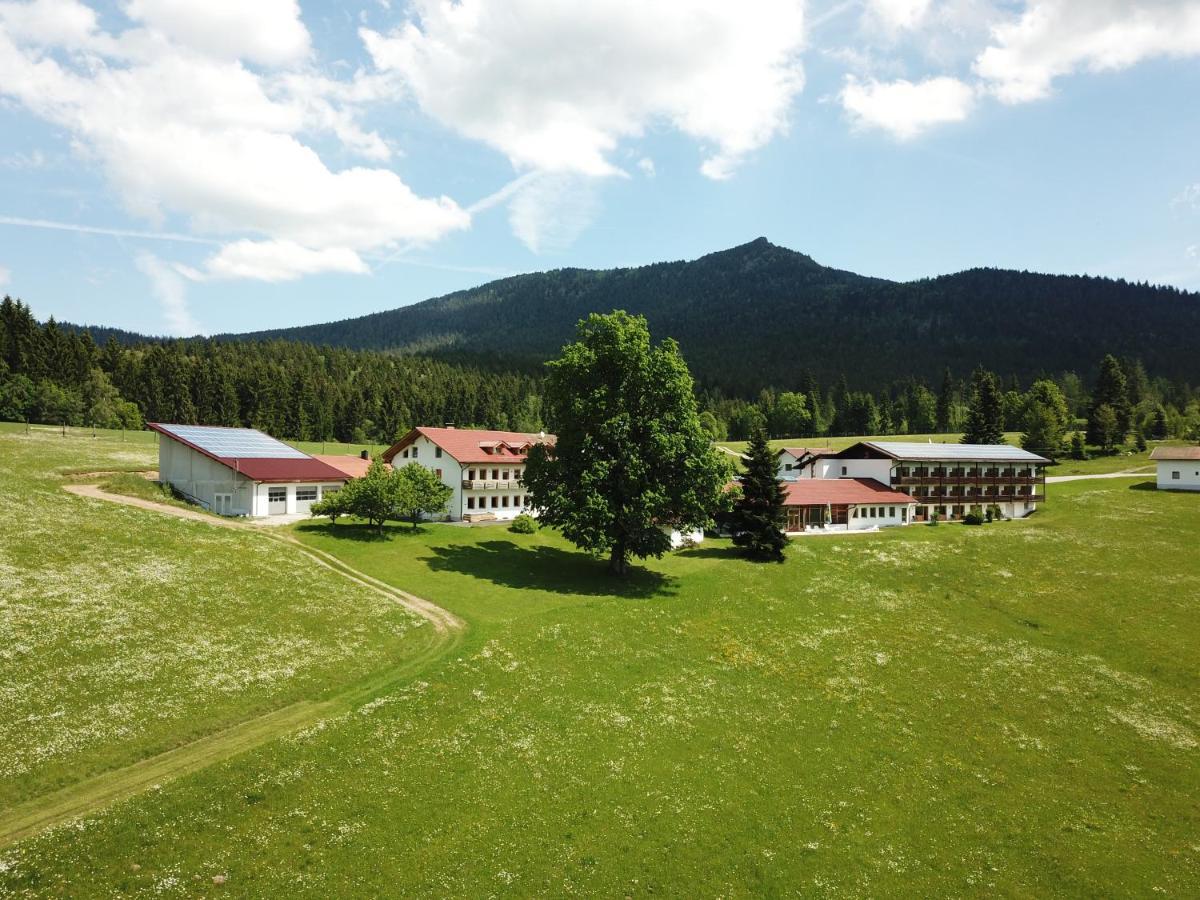 Osserhotel Garni Lohberg Exteriör bild