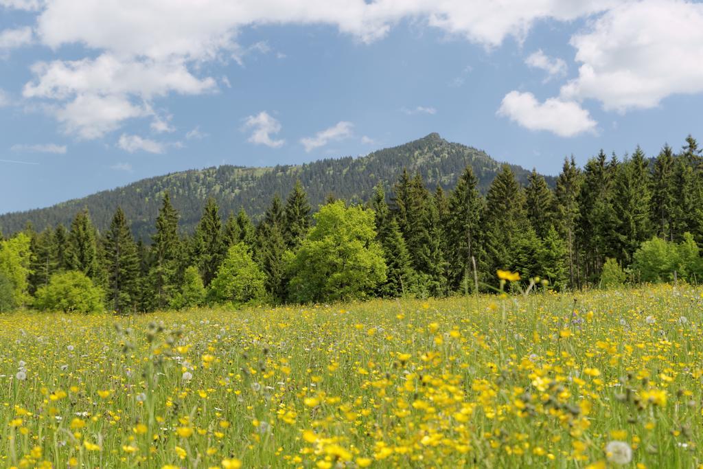 Osserhotel Garni Lohberg Exteriör bild