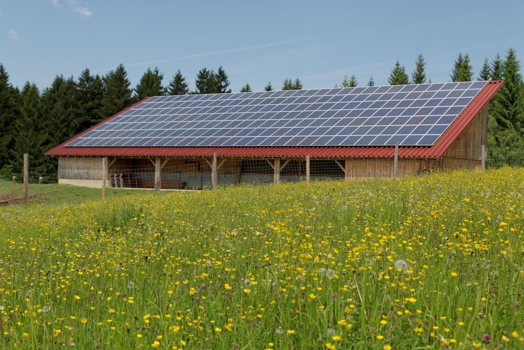 Osserhotel Garni Lohberg Exteriör bild