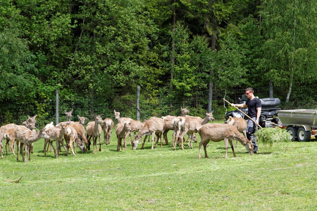 Osserhotel Garni Lohberg Exteriör bild